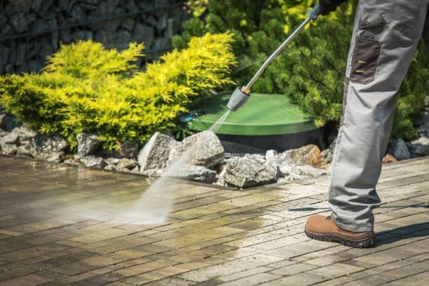 Best Animal Enclosure Cleaning  in Aiken, SC